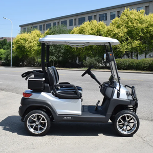 Carrito de golf eléctrico de 2 asientos con batería de litio de 72V Carros eléctricos cómodos personalizados de 2 asientos a la venta - Product Image 2