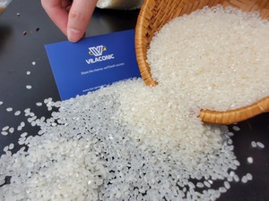 ARROZ JAPONÉS PARA SUSHI, PRECIO DEL ARROZ, NUEVA COSECHA, ARROZ DE GRANO CORTO, ARROZ JAPONICA - Product Image 6