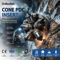 Конические алмазные вставки PDC Drillsoltek для буровых долот, производство OEM-поставок для нефтегазовой и горнодобывающей промышленности