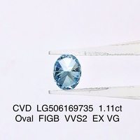 1ct 2ct Ovale VS VVS Loose Blue Lab Grown Diamonds CVD