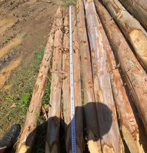 Best Wood Piles for Construction/<b>formwork</b>/structural Timber, Wood Stakes with Cheap Price and High Quality - Product Image 3