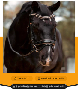 บังเหียนอัจฉริยะแบบกำหนดเองบังเหียนสำหรับผูกประดับด้วยสิทธิบัตรสีดำสีโรสโกลด์ - Product Image 4