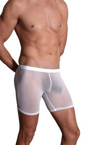 Short en maille transparente OEM Short de nuit sexy à séchage rapide pour hommes Short en maille transparente pour la plage d'été pour hommes - Product Image 4