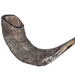 Mug à café de luxe en corne de bœuf véritable de qualité supérieure 2023, écologique, sans danger pour les aliments, avec poignée, pour les fêtes, la maison, les mariages et le camping - Product Image 1