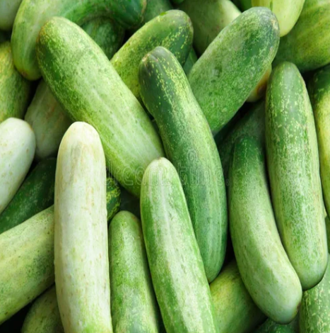 High Juicy Premium Quality Organic Fresh