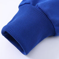 Sweat-shirts à capuche pour hommes de haute qualité, streetwear unisexe, pull-over, vente en gros, sweats-shirts personnalisés, broderie de logo, sweats-shirts vierges pour hommes