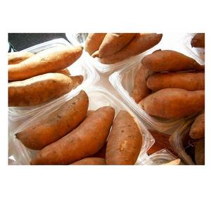 "Yams a la venta asequibles Yams frescos de alta calidad disponibles al por mayor y al por menor a precios de descuento" - Product Image 5