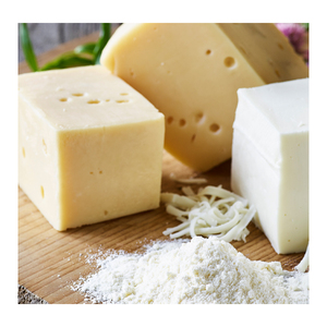 Polvo de Queso Seco por Pulverización Natural, Económico, en Envases a Granel, con Rico Sabor, Colorantes, Aditivos Alimentarios de Grado Alimenticio - Product Image 3