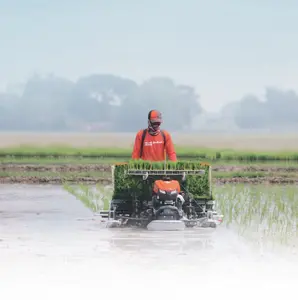 Transplanteuse de riz Kubota à conducteur marchant KNP-4W semoir automatique Opération simple et facile au prix de gros Fabricant