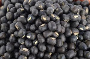 Premium Urad Dal Split Black Gram Vigna Mungo Food Grade Clean Graded Humedad controlada Uniforme Tamaño 99% Pureza 1 año - Product Image 5