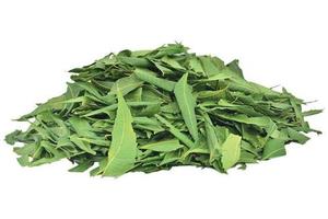 Neem yaprakları tozu Azardiractha Indica Huile De Neem hint leylak <span class=keywords><strong>Margosa</strong></span> ağacı margouninim yaprağı