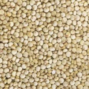 Graines de quinoa blanches naturelles, séchées, en vrac, pour la cuisine, la pâtisserie et la préparation des repas, en vente - Product Image 1