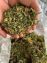 ผลิตภัณฑ์จากธรรมชาติสนับสนุนการดีท็อกซ์ชามะละกอสำหรับผู้ชาย - Product Image 5