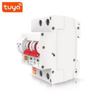 Disjoncteur intelligent Wi-Fi Tuya Smart 2P MCB 16A 25A 32A 40A 63A à commande à distance, prix usine PST-MCB-2P
