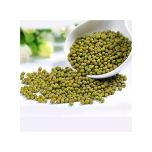 Discount price <b>Vigna</b> Mung <b>Beans</b> wholesale bulk supply fresh stock - Product Image 5