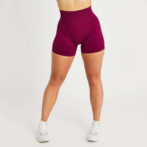 Femmes taille haute Fitness Shorts nouvelle mode été Offre Spéciale élastique respirant entraînement sport Biker Shorts Sexy Logo en gros - Product Image 1