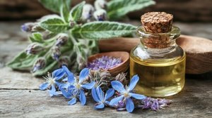 Fabricante de fábrica al por mayor de aceite portador de borraja 100% aceite portador de borraja puro y natural exportador a granel de grado premium India - Product Image 2