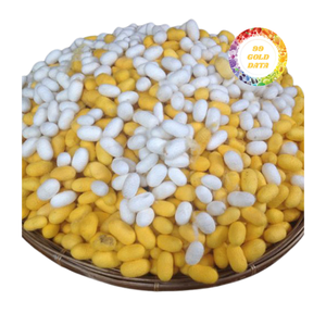 Puff facial exfoliant Silk Cocoon pour éliminer les peaux mortes et les impuretés-Parfait pour un soin doux du visage - Product Image 1