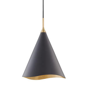 Tendance et forme de conception Unique lampe suspendue Design élégant lampe suspendue en métal couleur noire utilisation finie hôtel salon - Product Image 1