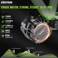 Kit de conversion de vélo électrique Varstrom 36v 48v 750W à moteur central sans balais, capteur de couple, kit de conversion de vélo électrique, écran DZ41, alliage d'aluminium