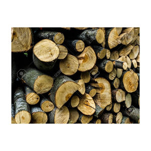 Fendeuse de bûches de bois Machine à fendre le hêtre à vendre Acier à haute teneur en carbone Simple Portable fendeur de bois processeur de bois de chauffage - Product Image 1