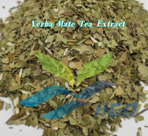 Suministro Directo de Fábrica HGO de Extracto de Yerba Mate Pura y Natural, Grado Alimenticio, en Polvo Instantáneo, en Proporciones 5:1, 10:1, 20:1 - Product Image 2