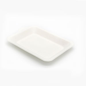 Assiette jetable BL - Product Image 1