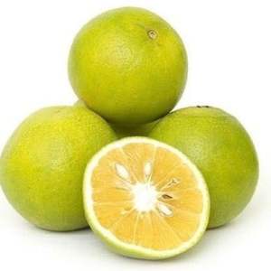 ส้มสดออร์แกนิก ผลไม้ส้มสด คุณภาพพรีเมียม ฉ่ำหวาน จำหน่ายส้มจำนวนมาก - Product Image 1