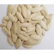 50 Pcs Seeds Organic Ottoman Turkish Pumpkin Seeds Natural Zucchini Hobby Garden Zucchini