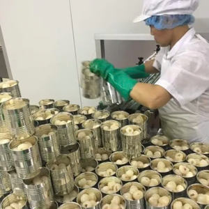 LICHE EN CONSERVAS CON GRANDES CANTIDADES DE EXPORTACION DE ALTA CALIDAD DE PROVEEDORES VIETNAMES - Product Image 2