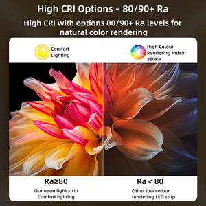 Tùy Chỉnh Side Uốn Cong <span class=keywords><strong>LED</strong></span> Neon Dải Ánh Sáng 24V Linh Hoạt Silicone Neon Ống Dây IP67 Không Thấm Nước 0606 0808Mm 3000K 4000K 6500K <span class=keywords><strong>Rgbw</strong></span> - Product Image 2