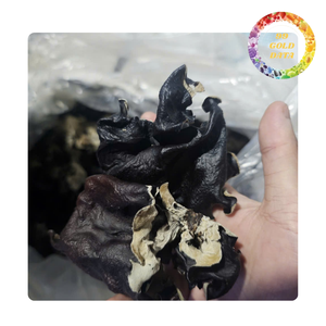 Champignons noirs en bois séchés du Vietnam |   Prêt à cuisiner - Product Image 3