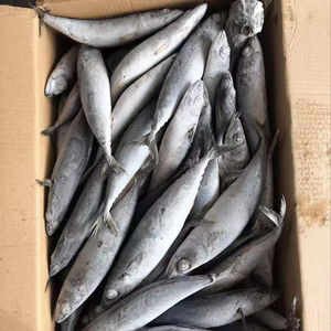 Frozen IQF Pacific Herring <b>Fish</b> Wholesale Edible 12 Months Shelf Life Price - Product Image 1