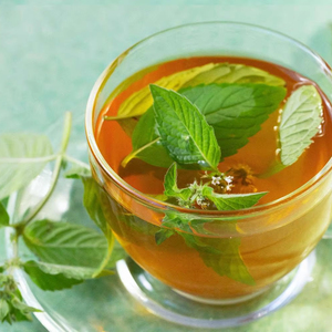 Menta Piperita (Menta Piperita) Grado Premium, Procesamiento Crudo, 99% de Pureza para Consumo Humano, a Granel, Libre de Pesticidas, 3 Años - Product Image 1