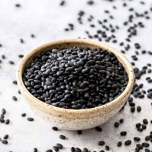 Compre Frijoles Negros a Granel, Calidad de Exportación Grado A de Turquía, 2 Años de Duración, Proveedor Confiable - Product Image 1