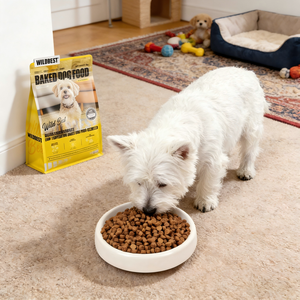 Nourriture pour chiens cuite au four Petop, faible température, riche en protéines, avec probiotiques pour toutes les étapes de vie, santé digestive, fabricant OEM, en vrac - Product Image 3