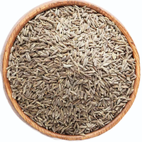 Graines de cumin d'origine de haute qualité Graines Jeera Arôme fort Goût naturel Épice sans gluten Fournisseur en gros d'exportation