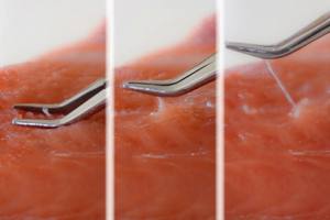 เครื่องมือครัวแบบแมนนวลสำหรับการแปรรูปอาหารทะเลสินค้าดีสำหรับบ้านโรงแรมร้านอาหารและโรงงานปากคีบกระดูกปลา3 - Product Image 6