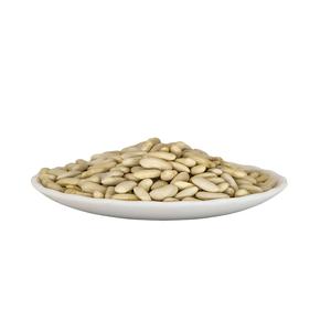 <b>White</b> Pea <b>Beans</b> <b>White</b> Kidney <b>Beans</b> Wholesale Navy for Canned Long Shape Dry Ethiopian <b>Beans</b> New Harvest Crop 2022 - Product Image 1