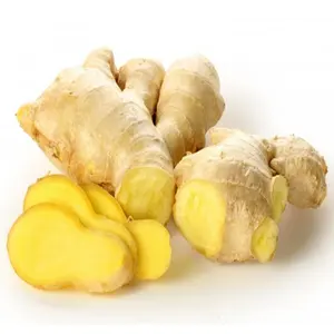 New arrival fresh ginger and air dried ginger new crop from China wholesale exporters with ginger root