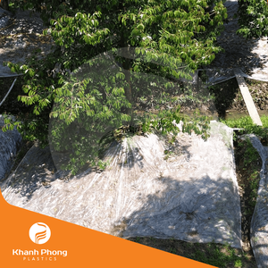 Film de paillis agricole pour la base de l'arbre Durian La régulation de la température isole la température du sol et protège les racines - Product Image 2