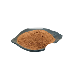 Extracto de Cuminum Cyminum (Jeera) Extracto de planta Premium para salud y bienestar - Product Image 5