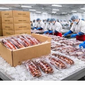 Cola de Langosta Congelada a Precio de Fábrica, Procesada en Fábrica - Product Image 6
