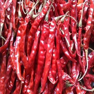 BEST QUALITY SANNAM RED CHILLI CULTIVATED AND PROCESSED FROM INDIA WITH PREMIUM SPICY IN TASTE