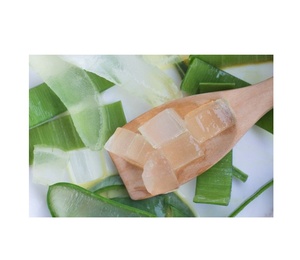 Dados de Aloe Vera/Cubo de Aloe Vera/Pulpa de Aloe Vera para bebida de jugo 100% fresco Natural - Product Image 2