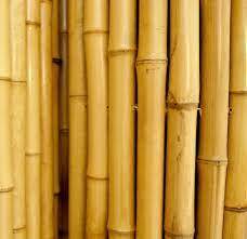 Poste de bambú ecológico de Vietnam para jardín al aire libre-Decorar con precio barato para exportación - Product Image 3