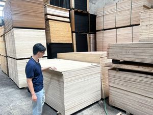 Madera contrachapada vietnamita con revestimiento de película para muebles, cocina, uso duradero, resistente a las termitas. 4x8 E0 sala de estar de arce de abedul hecha principalmente - Product Image 4