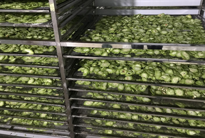 แตงโมขมแช่แข็งทั้งชิ้น2025 - Product Image 2