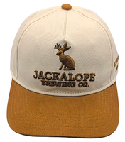 Casquette de baseball en denim 100 % coton BD marron, visière incurvée réglable, style hip-hop, décoration boutonnée, pour sports de plein air et fêtes, 56-58 cm