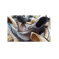 Achetez directement des cornes de brebis naturelles de haute qualité chez Crescent Crafts Wholesaler, polies, imperméables, style animal moderne CC-6112